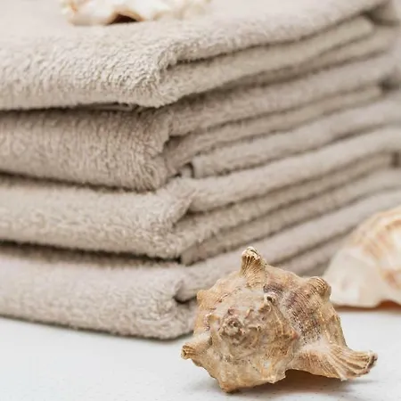 Amber Wind 帕兰加